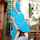 asian jav public