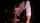 cim blowjob swallow