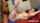 camgirl amateur interracial