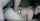 camgirl amateur webcam
