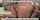 milf mom anal