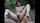 anal milf outdoor