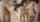 interracial blacked brunette