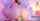 dildo webcam onlyfans