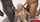 blonde interracial anal