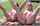 blonde nude pornstar