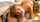 russian teen anal