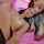 brunette tits pink