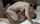 interracial bbc amateur