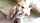 blonde interracial bbc