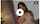 jav japanese javhd