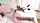 camgirl dildo deep insertion