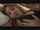 japanese jav actress asian