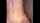 tattoo threesome dildo