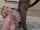 mom bbc milf