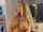 orgasm orgy anal