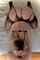 oral lingerie big ass