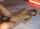 japaness slender jav