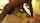 bbc compilation squirt
