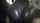ebony reverse cowgirl homemade