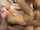 tits cumshot blowjob