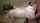 teen amateur blowjob