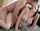 asian jav big breasts