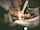 gangbang skinny teen
