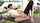 asian creampie japanese