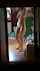 amateur shower fanststic