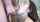 blowjob bang handjob