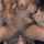 amateur lesbian squirt