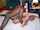 interracial blond bbc