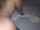 doggystyle pov big dick