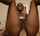 ebony reverse cowgirl white cock