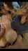 doggystyle foursome thick