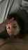 blowjob facefuck brunette