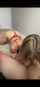 blonde blowjob red