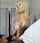 hot blonde handjob
