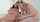 threesome lesbians bunny