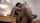 daughter in law film jav