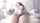 korean camgirl small tits