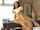 lesbian oral seduction
