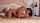 bed black hair lesbians