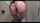 anal masturbation stockings