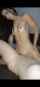camgirl tattoo piercing