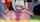 camgirl pigtails lesbian