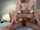 reverse cowgirl webcam riding