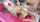 anal ass blonde
