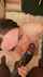 interracial bbc snowbunny